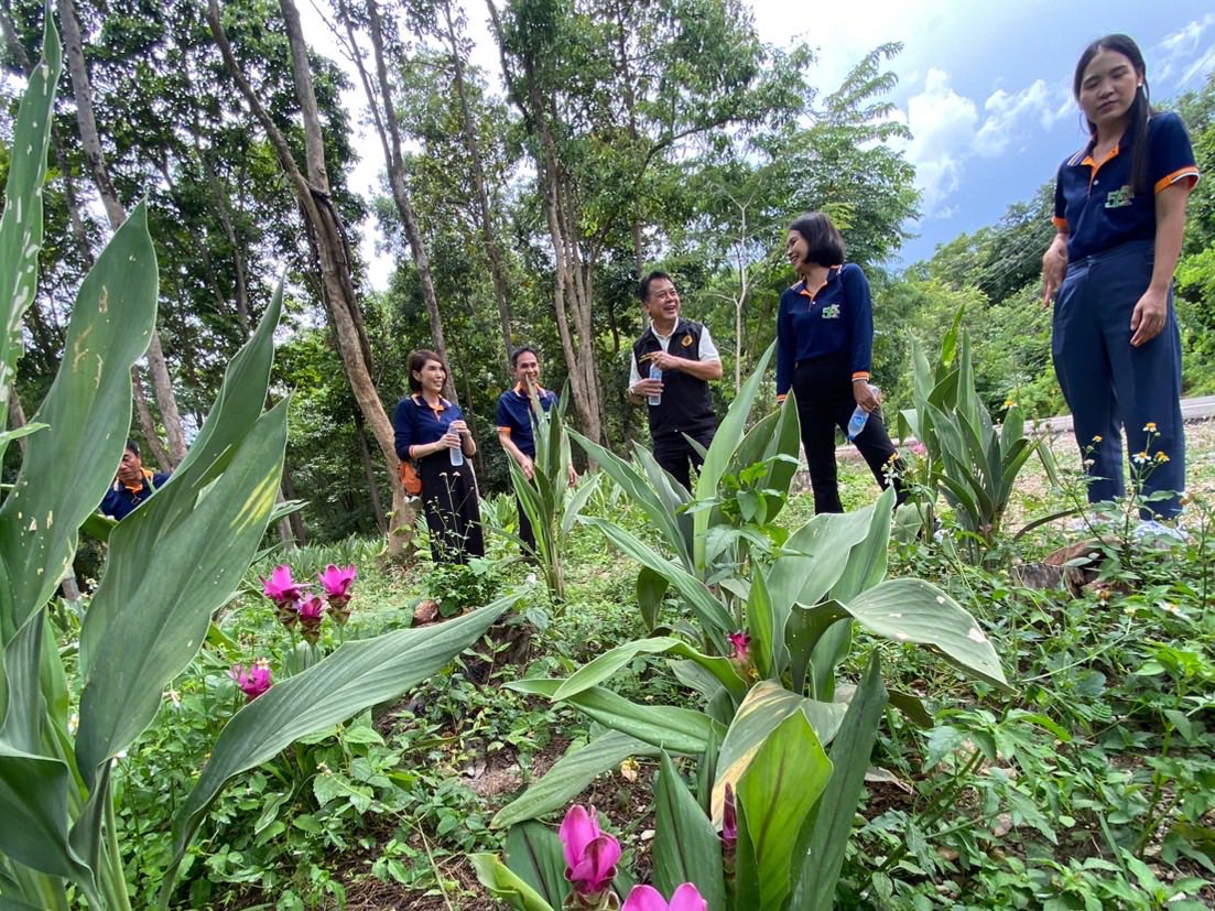 title - ผู้ตรวจราชการ ส.ป.ก. (เขต 15,16 และ 17) ประชุมตรวจติดตามความก้าวหน้าการดำเนินงานตามแผนงานตรวจราชการและลงพื้นที่โครงการที่เกี่ยวข้องในเขตปฏิรูปที่ดิน ประจําปีงบประมาณ 2568 รอบที่ 2 ณ ส.ป.ก.จังหวัดลำพูน